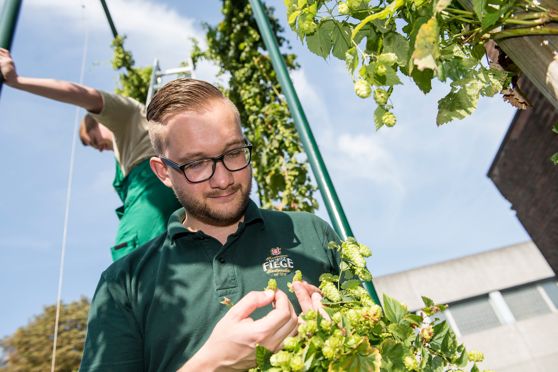 HolgerKittlervergewissertesichbeiderErnte_XL